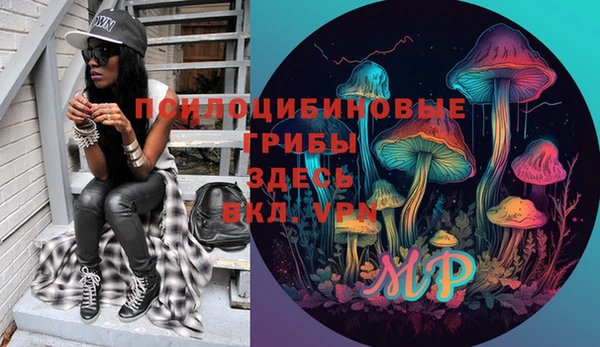 mdpv Заводоуковск