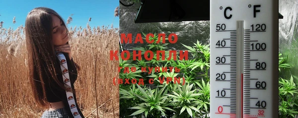 mdpv Заводоуковск