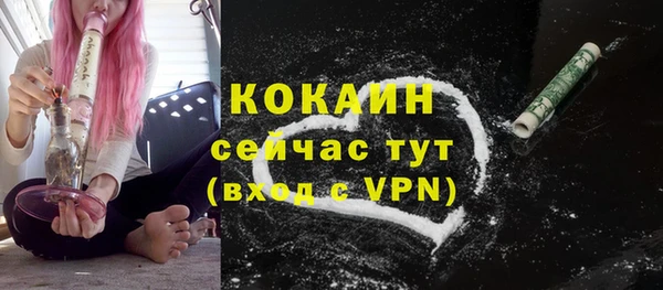 mdpv Заводоуковск