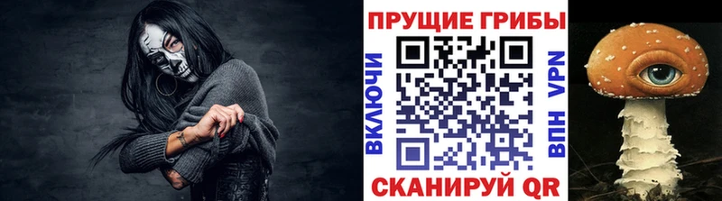 Галлюциногенные грибы Magic Shrooms  Купить где  Кингисепп 